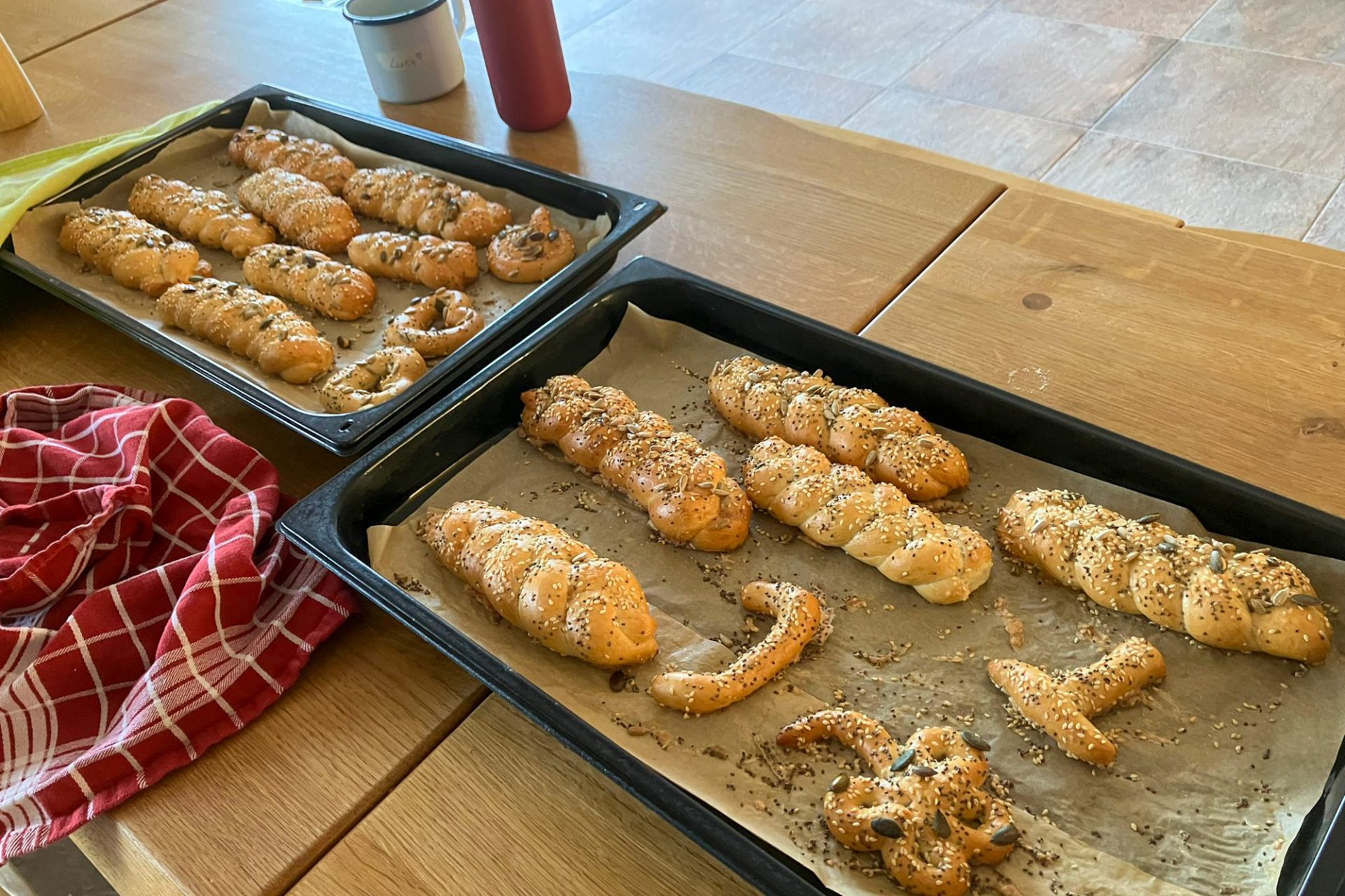 IMG-20230815-WA0000-2